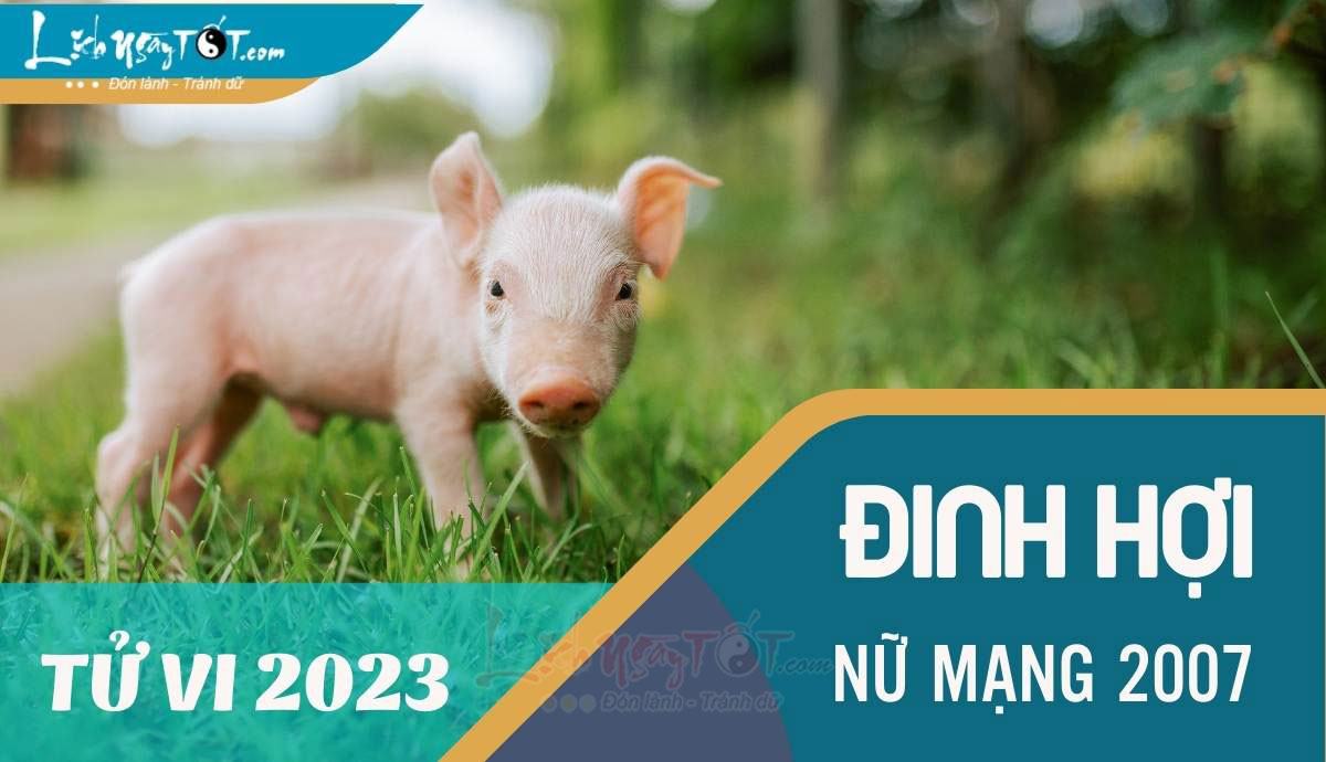 Tu vi 2023 tuoi Dinh Hoi nu mang - Tu vi tuoi Dinh Hoi nam 2023 nu mang