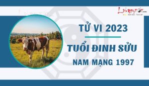 Thỏa sức chinh phục đỉnh cao