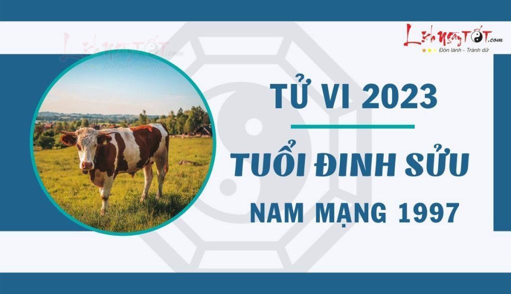 Thỏa sức chinh phục đỉnh cao