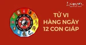 Thứ 4 Tý vất vả