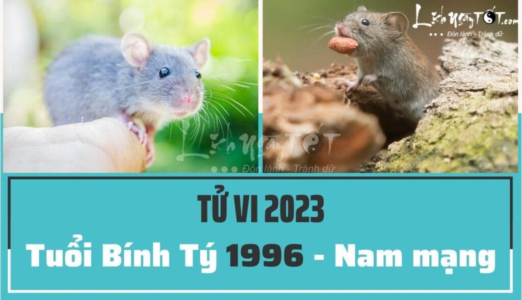 Tiền bạc hao tổn nhiều