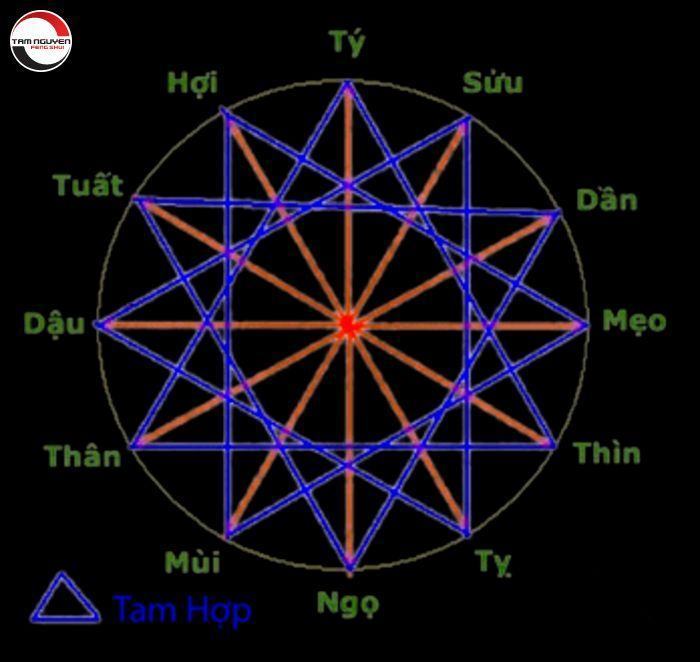 tam hợp và tứ hành xung
