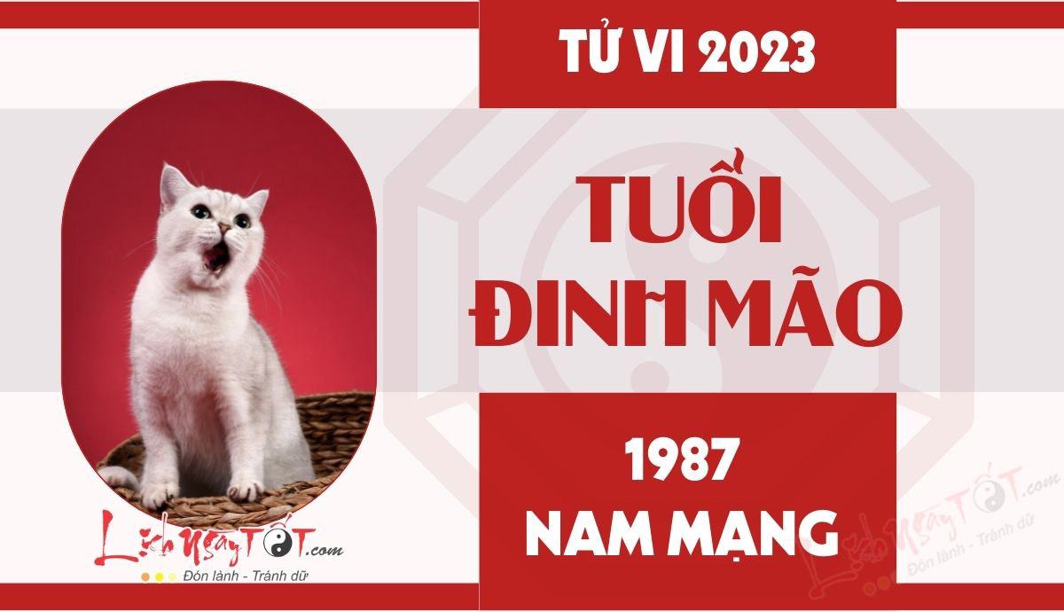 Tu vi 2023 tuoi Dinh Mao nam mang
