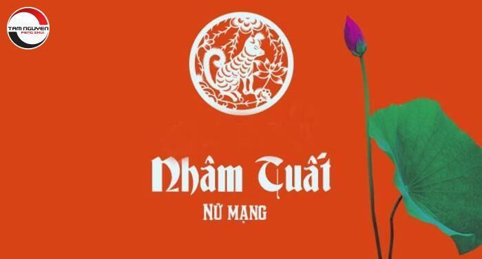 tử vi tuổi nhâm tuất năm 2021 nữ mạng