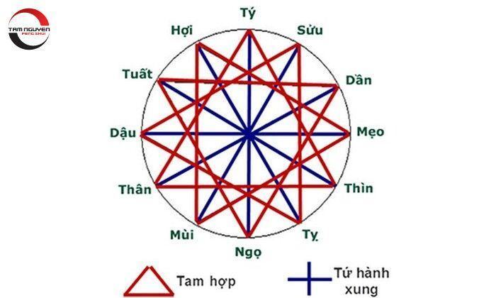 những con giáp tứ hành xung