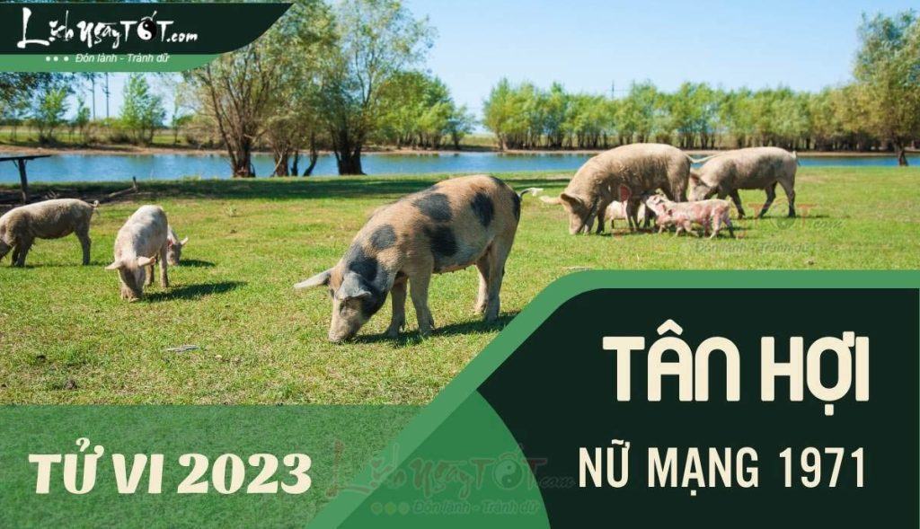 Tự mình cố gắng ắt thành công