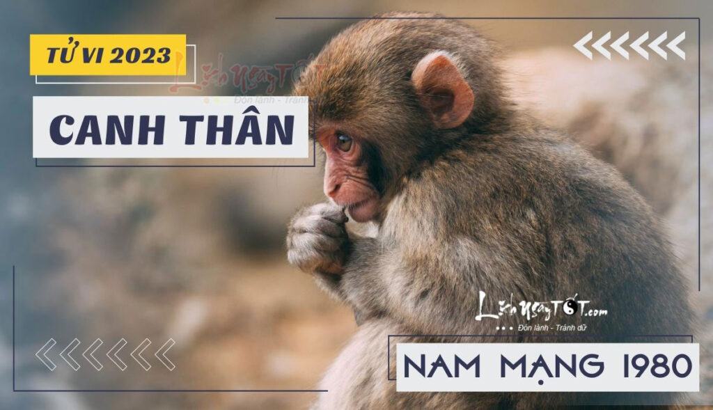 Tử vi 2023 tuổi Canh Thân 1980 nam mạng: Mạnh mẽ vượt khó
