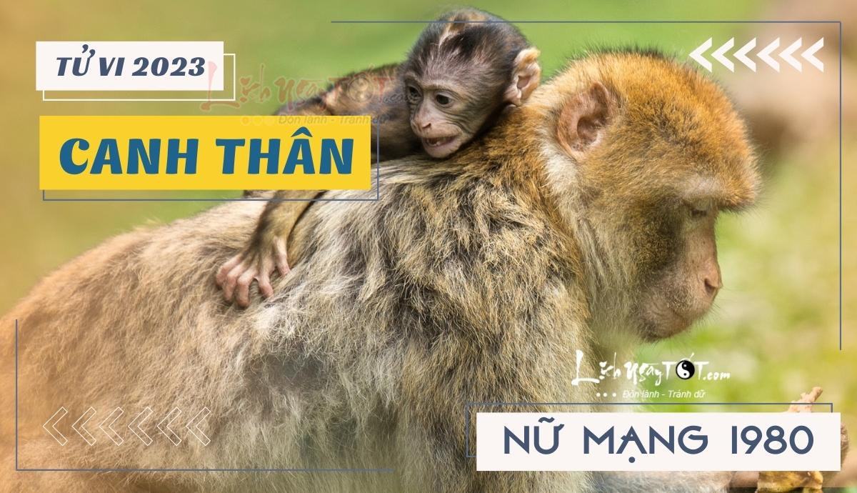 Tu vi 2023 tuoi Canh Than nu mang