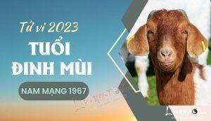 Tử vi 2023 tuổi Đinh Mùi 1967 nam mạng: Lo nhiều hơn vui