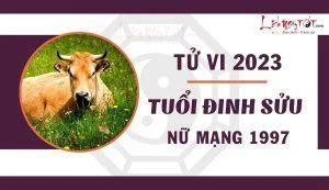 Tử vi 2023 tuổi Đinh Sửu 1997 nữ mạng: 1 năm tươi sáng