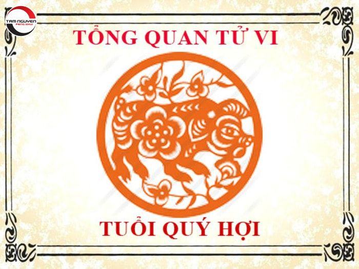 Tổng quan tử vi tuổi Quý Hợi năm 2022
