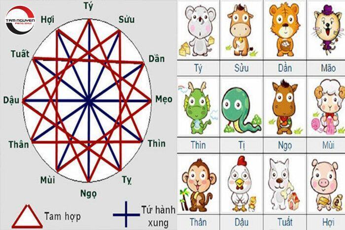 Tứ hành xung là nhóm 4 con giáp có mối quan hệ xung khắc nhau
