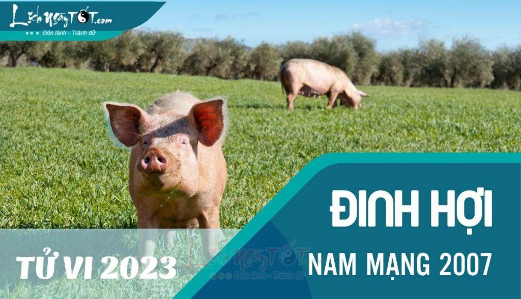 Vận khí nhiều khởi sắc