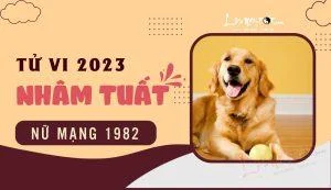 Vận khí tốt xấu đan xen
