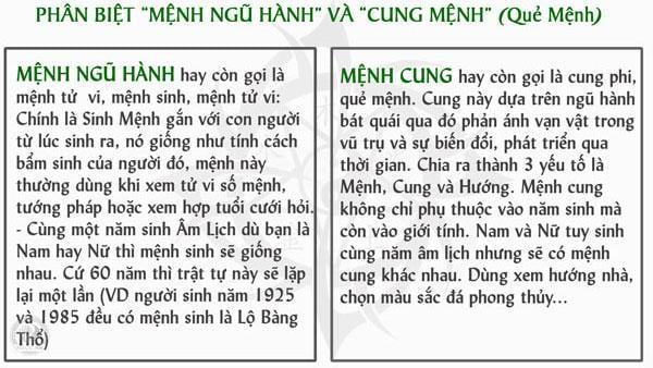 Phân biệt mệnh cung sinh và mệnh cung phi