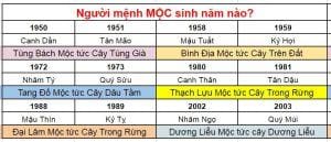 5 VÒNG TAY PHONG THỦY MỆNH MỘC GIÚP THU HÚT TÀI LỘC