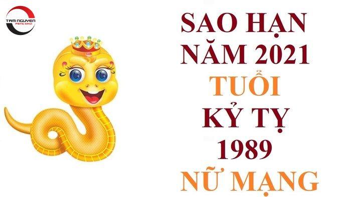 Tử vi tuổi Kỷ Tỵ năm 2022 nữ mạng