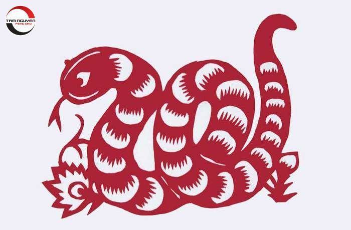 Tử vi tuổi Kỷ Tỵ năm 2022 nữ mạng