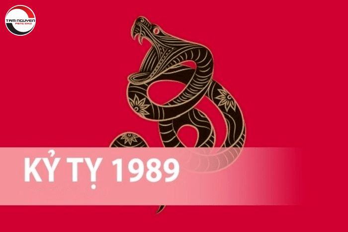 Tử vi tuổi Kỷ Tỵ năm 2022 nữ mạng