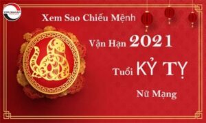 Tử vi tuổi Kỷ Tỵ năm 2022 nữ mạng 1989 đầy đủ, chi tiết