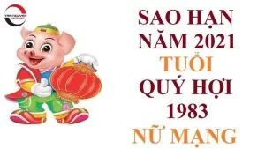 Tử Vi Tuổi Quý Hợi Năm 2022 Nữ Mạng 1963 Chuẩn Nhất