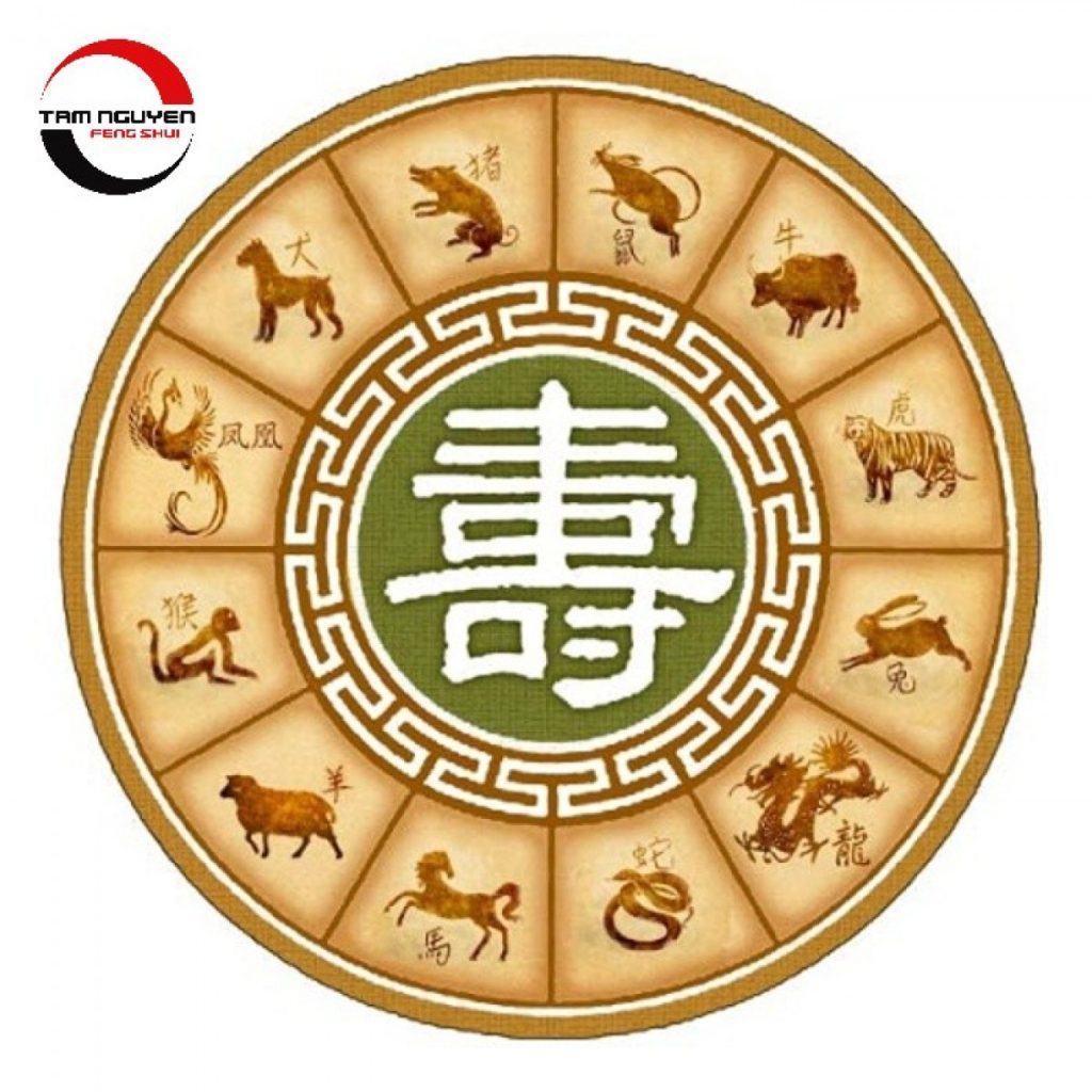 Kiến Thức Tử Vi Cơ Bản, Dễ Hiểu Cho Người Mới Bắt Đầu