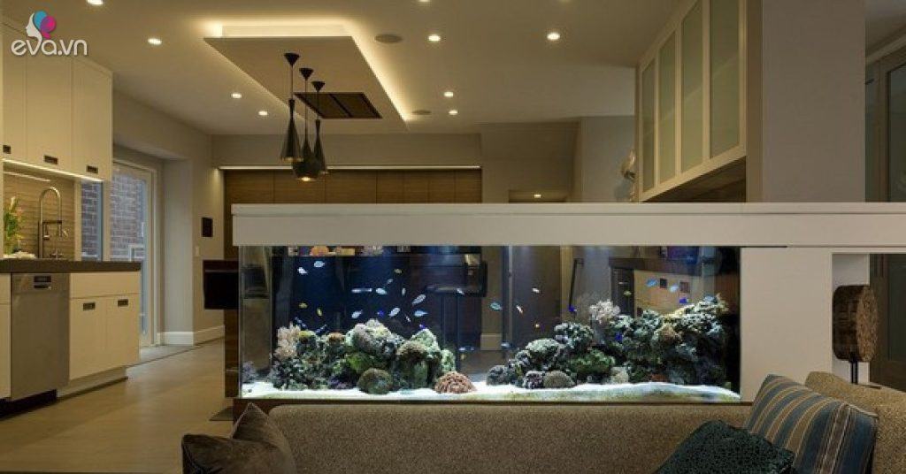 7 vị trí đặt bể cá làm đẹp trong nhà không tốt, dễ ảnh hưởng sức khỏe, tài lộc thất thoát