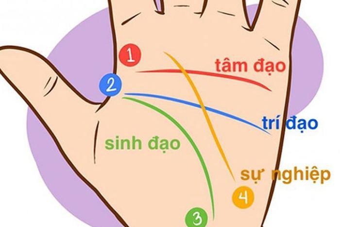 3 tướng tay của người giỏi kinh doanh, làm đâu thắng đó, tài lộc dồi dào