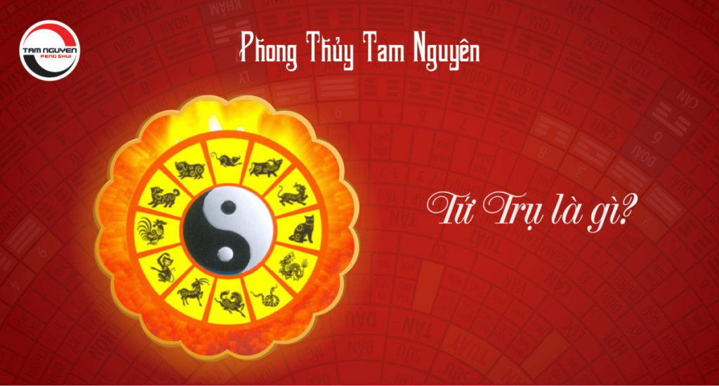 Xem bát tự tứ trụ, giải lá số tứ trụ theo ngày sinh đoán vận mệnh