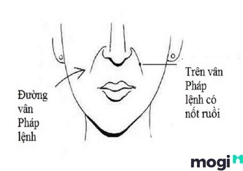 Ý nghĩa đường pháp lệnh thọ khang