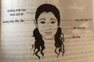 Nhân tướng học: Tướng mạo phụ nữ vượng phu, đàn ông lấy được sướng cả đời