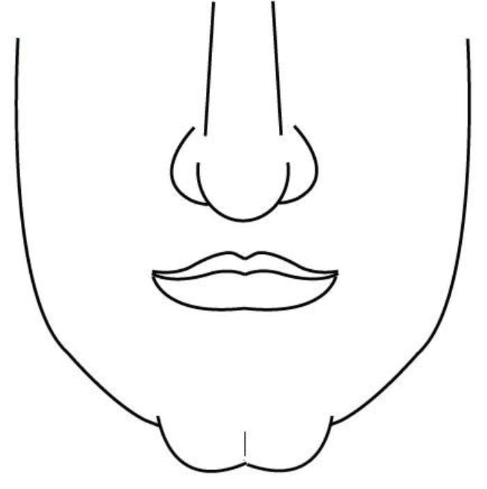 Cằm nhọn và hẹp