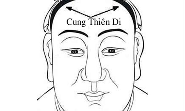 Theo nhân tướng học, phụ nữ có gò má cao thích bay nhảy tới nhiều miền đất mới nên khả năng họ lấy chồng xa nhà là rất cao