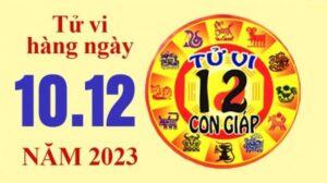 Tử vi hôm nay, xem tử vi 12 con giáp hôm nay ngày 10/12/2023: Tuổi Tỵ công việc may mắn