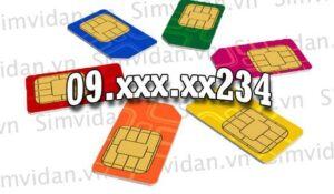 Ý nghĩa dòng sim đuôi 234 - bí mật được hé lộ
