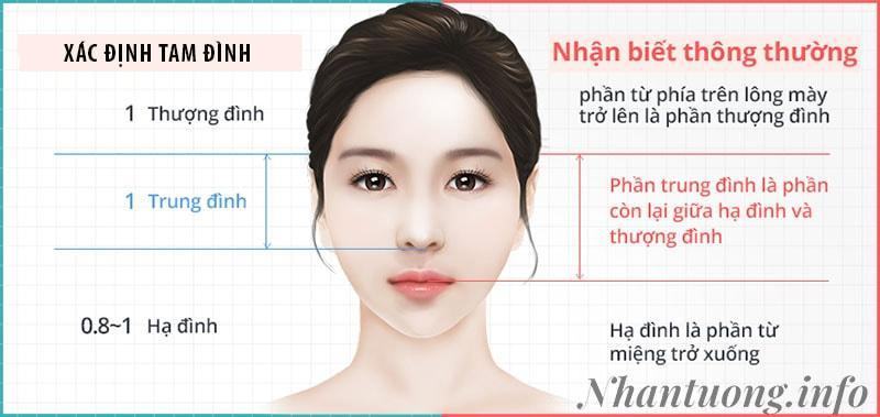 Người có tướng cằm ngắn thì sao, có ý nghĩa gì?
