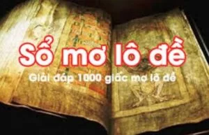 Sổ mơ lô đề: Giải mã 1000 giấc mơ lô đề cho các bạn