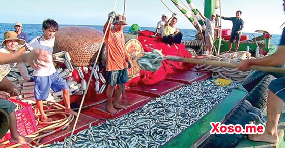 Mơ thấy bắt được nhiều cá