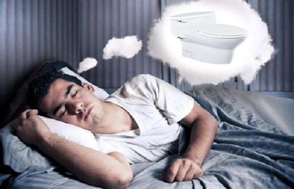 Những bất ngờ về giấc mơ thấy nhà vệ sinh hay mơ thấy bồn cầu