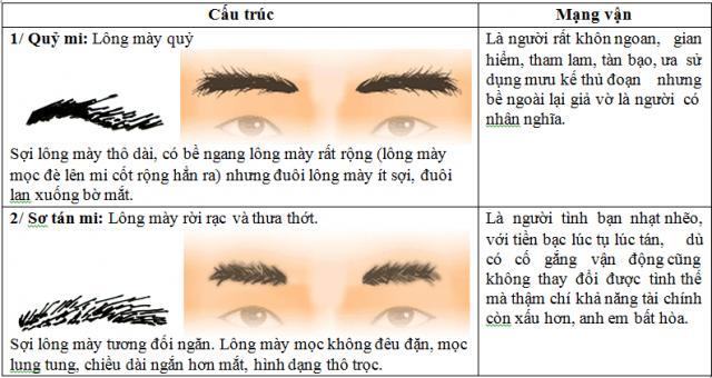 Xem tướng lông mày đàn ông, phụ nữ đoán sự nghiệp, vận mệnh