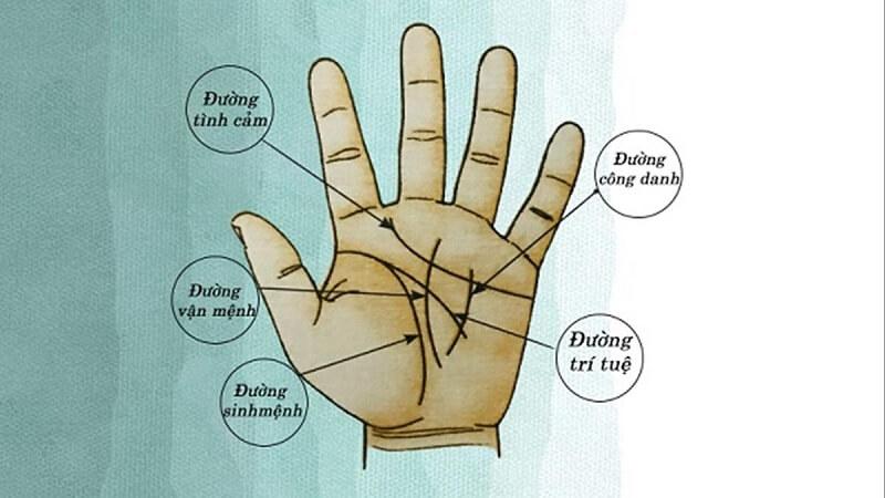 Xem nhân tướng học chỉ tay biết về sự nghiệp của bạn