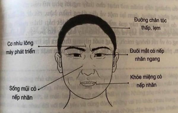 Đàn ông mặt dài