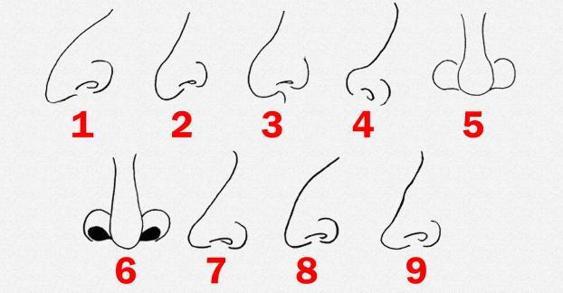 Tướng mũi theo nhân tướng học tiết lộ vận mệnh và tính cách