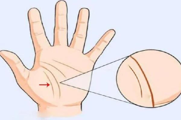 Xem tướng bàn tay đàn ông, đoán vận mệnh sang – nghèo