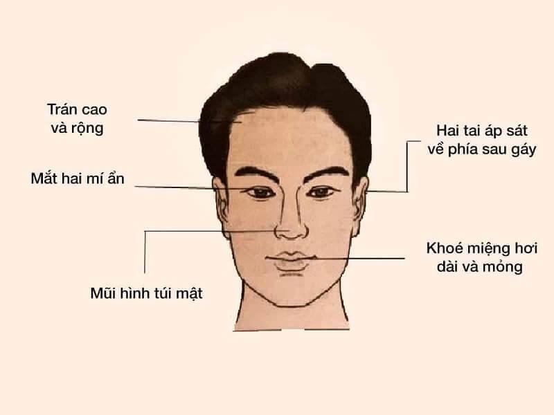 Cách Xem Tướng Mặt đàn ông