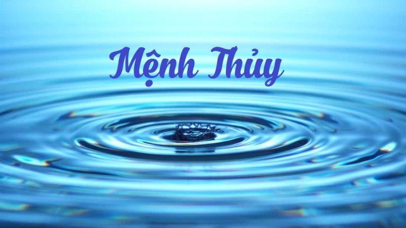 Nhâm Tuất 1982 là mệnh gì? Tuổi này hợp với mệnh nào, màu nào?