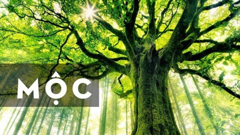 Sinh năm 1988 mệnh gì? Hợp tuổi gì? Hợp hướng nào?