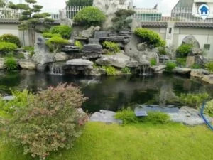 Hướng dẫn xây phong thủy nhà ở ao giúp gia chủ chiêu tài hút lộc vào nhà