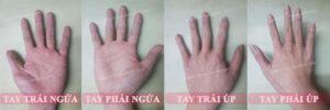 Xem Lá Số Bát Tự - Tử Vi - Chỉ Tay - Phong Thủy Quảng Minh