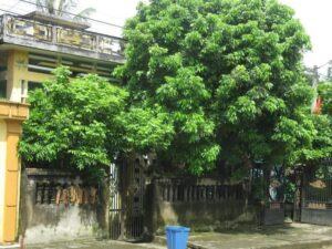 Hướng dẫn xem phong thủy cho nhà ở tại gia